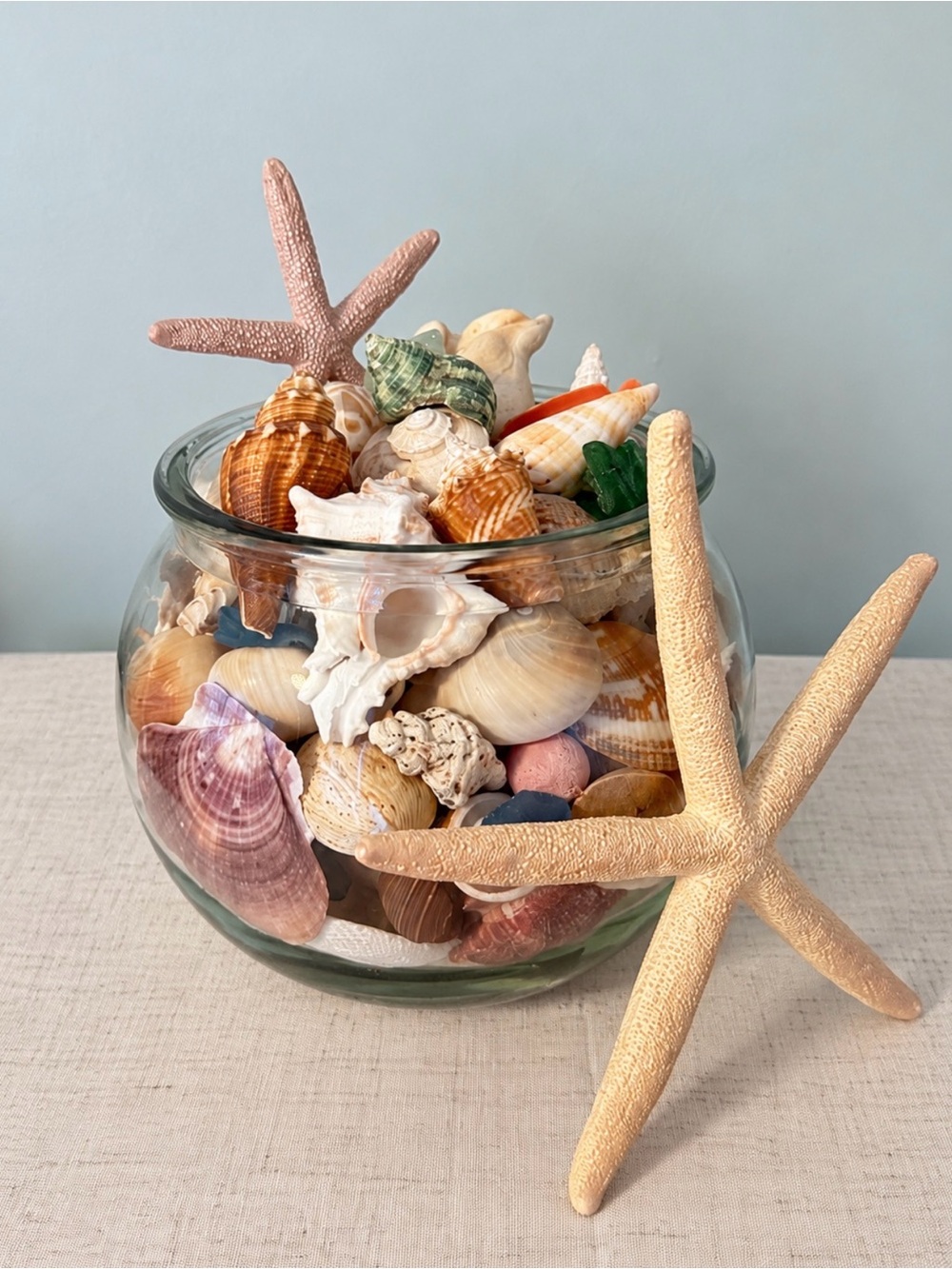 SeaShell Coastal Treasures - Picture 1 of 10